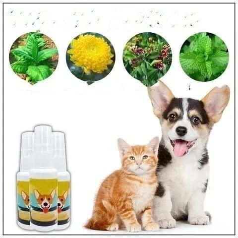 Natural Potty Training Spray for Dogs & Cats 🐕🐈 (Pack of 2)